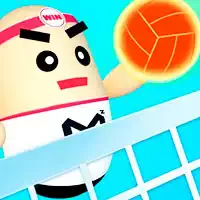 3d_amazing_volleyball Spil