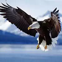 animals_jigsaw_puzzle_eagle ເກມ