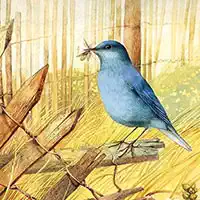 art_birds_puzzle гульні