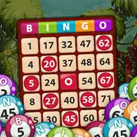 Bingo Kralı