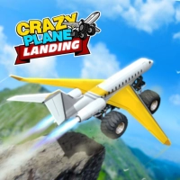 crazy_plane_landing Тоглоомууд