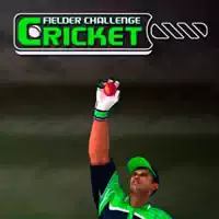 cricket_fielder_challenge_game રમતો