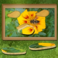 find_restore_hidden_puzzle თამაშები