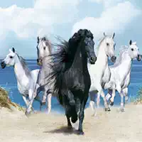 horses_puzzle ألعاب