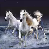 horses_slide بازی ها