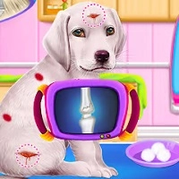 labrador_puppy_daycare_salon Игры