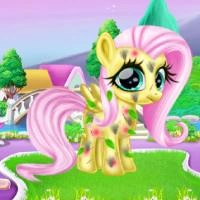 little_pony_caretaker গেমস