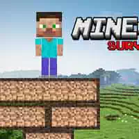 mine_survival Gry