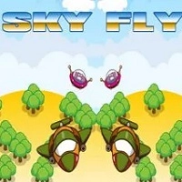 Sky Flying