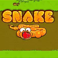 snake_game Hry