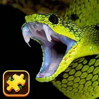 snake_puzzle_challenge ゲーム