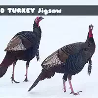 wild_turkey_jigsaw গেমস