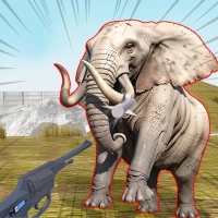 Symulacja Anomalii Zoo